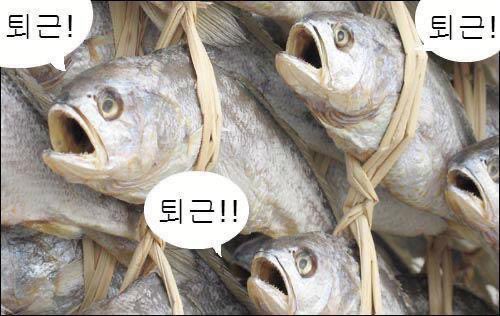 bbebbeya's tweet photo. 조기퇴근플리즈 https://t.co/7NPGOCZwbU