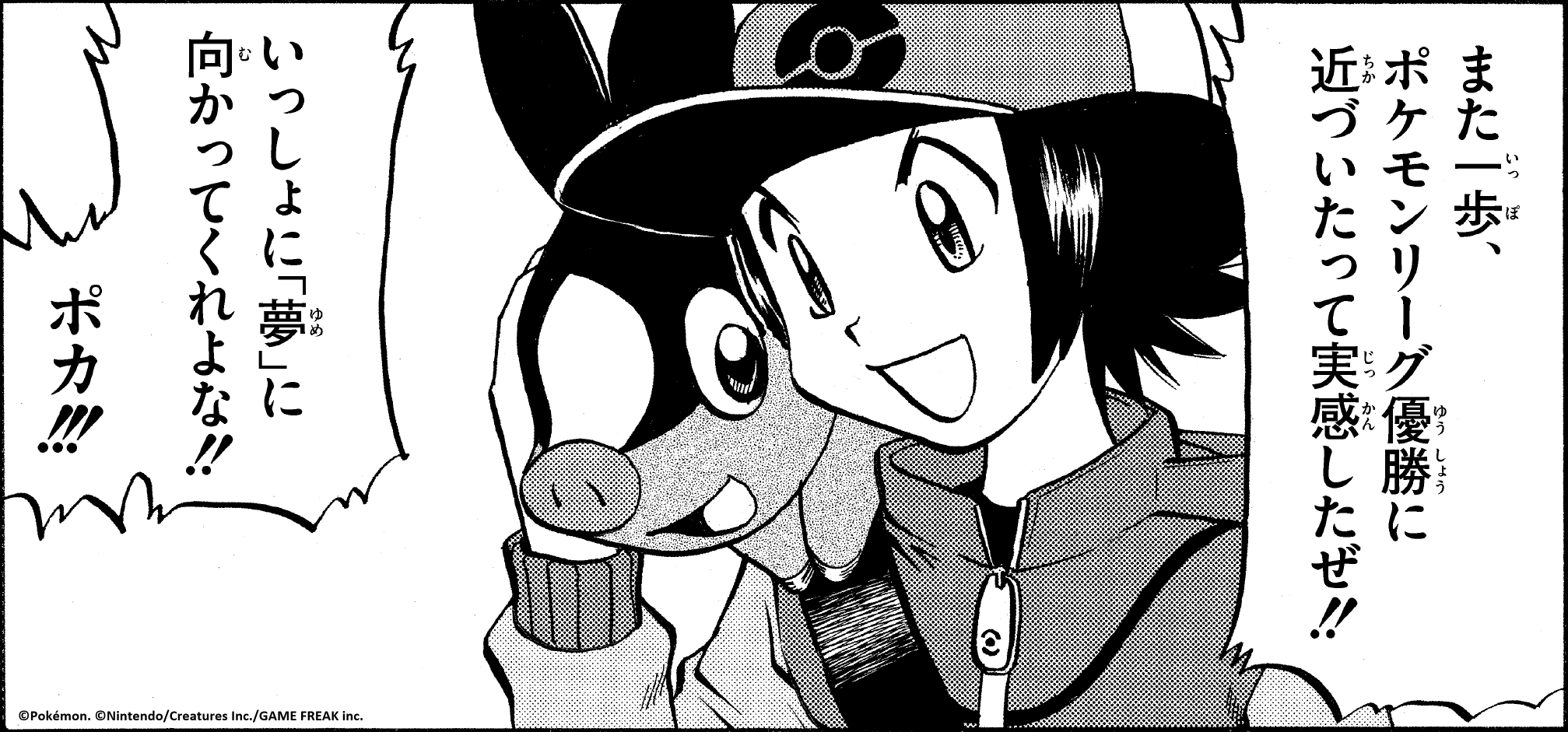 ポケットモンスターSPECIAL ポケットモンスタースペシャル 24 | 書籍 | 小学館