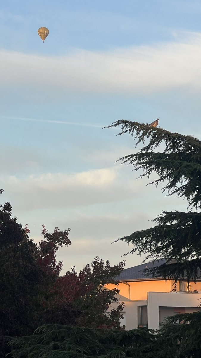 TiTim485's tweet photo. 2 « objets » volants bien identifiés #Angers https://t.co/MWlTAP5JHM