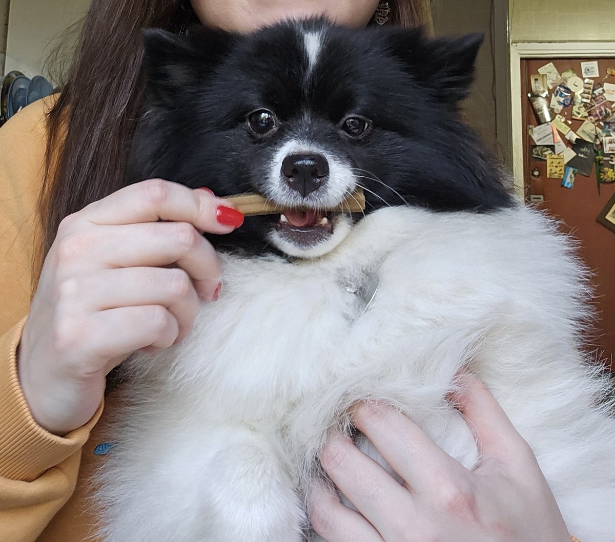 MargoApache's tweet image. Опа опа это чо это чо