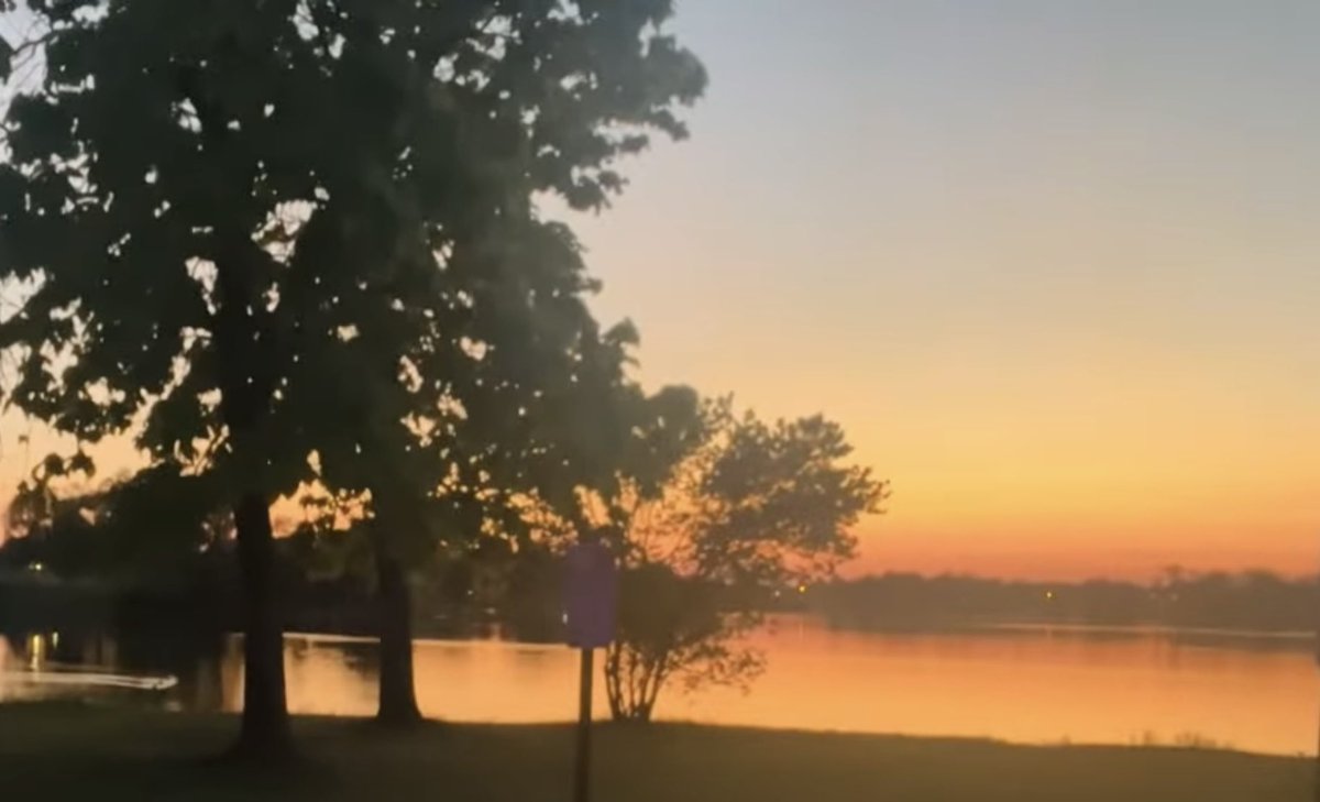 أنت كـ نور الشمس
وفي الوصف تفوق الخيال
في وجودك معنى الحياة
وعند أفولك معنى الجمال

تفيض ضياءً وطاقة
لكل روحٍ تراك
ولقد عاهدني قلبي
ألا يحل به سواك !

- من خواطري
#فيض_الوادي