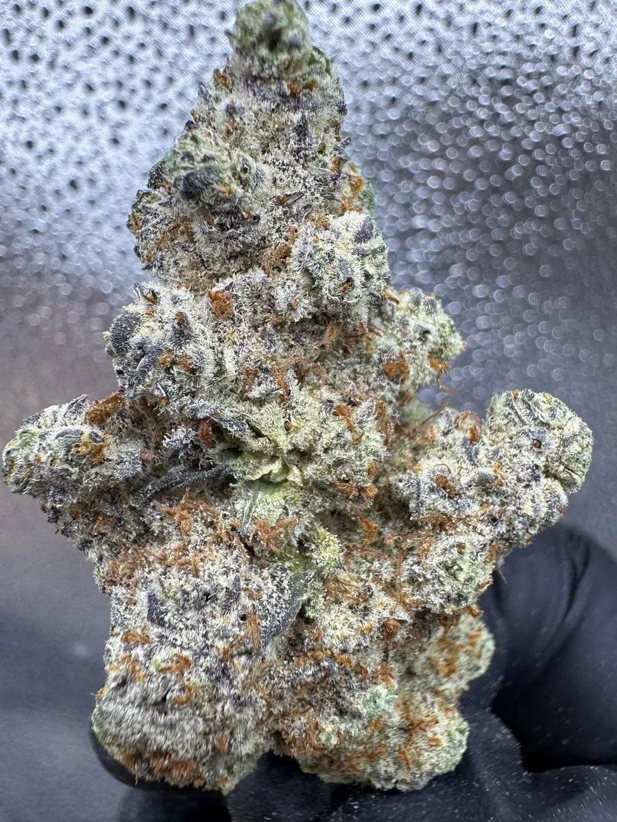 WriteWeed's tweet image. Vineyard OG! #WriteWeed #CannabisCulture #WeedLife #PuffPUffPass