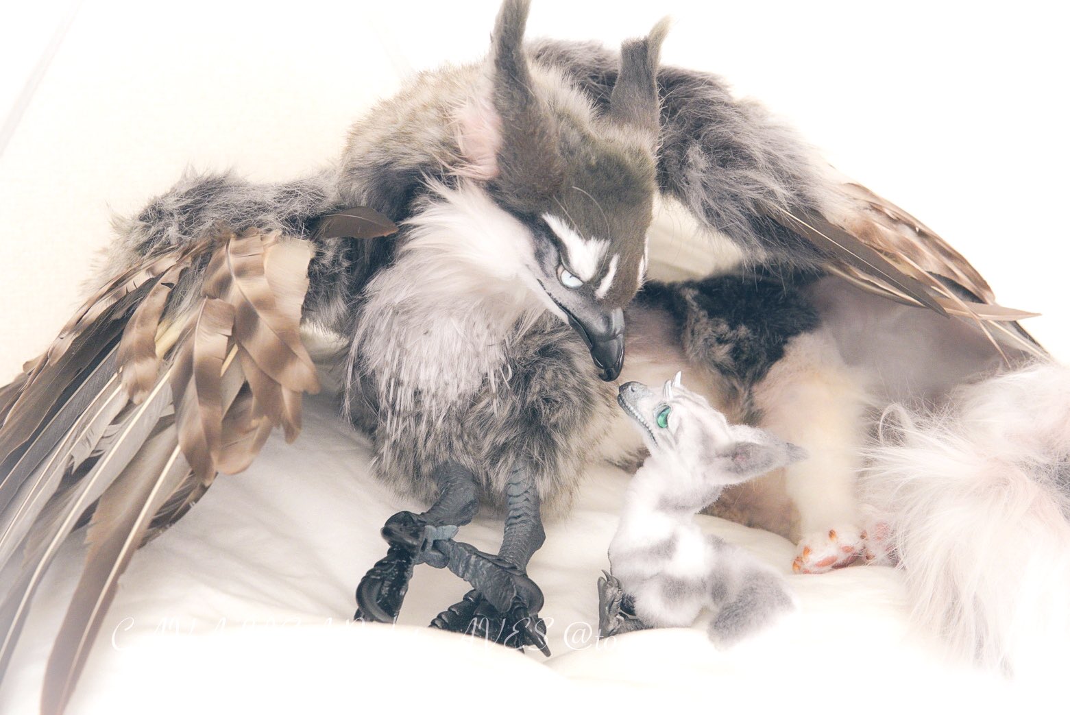 Highlights by CAVALISA/アートドール作家 (@to_aves) / X