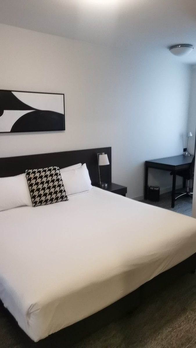 这是战斗前的样子。