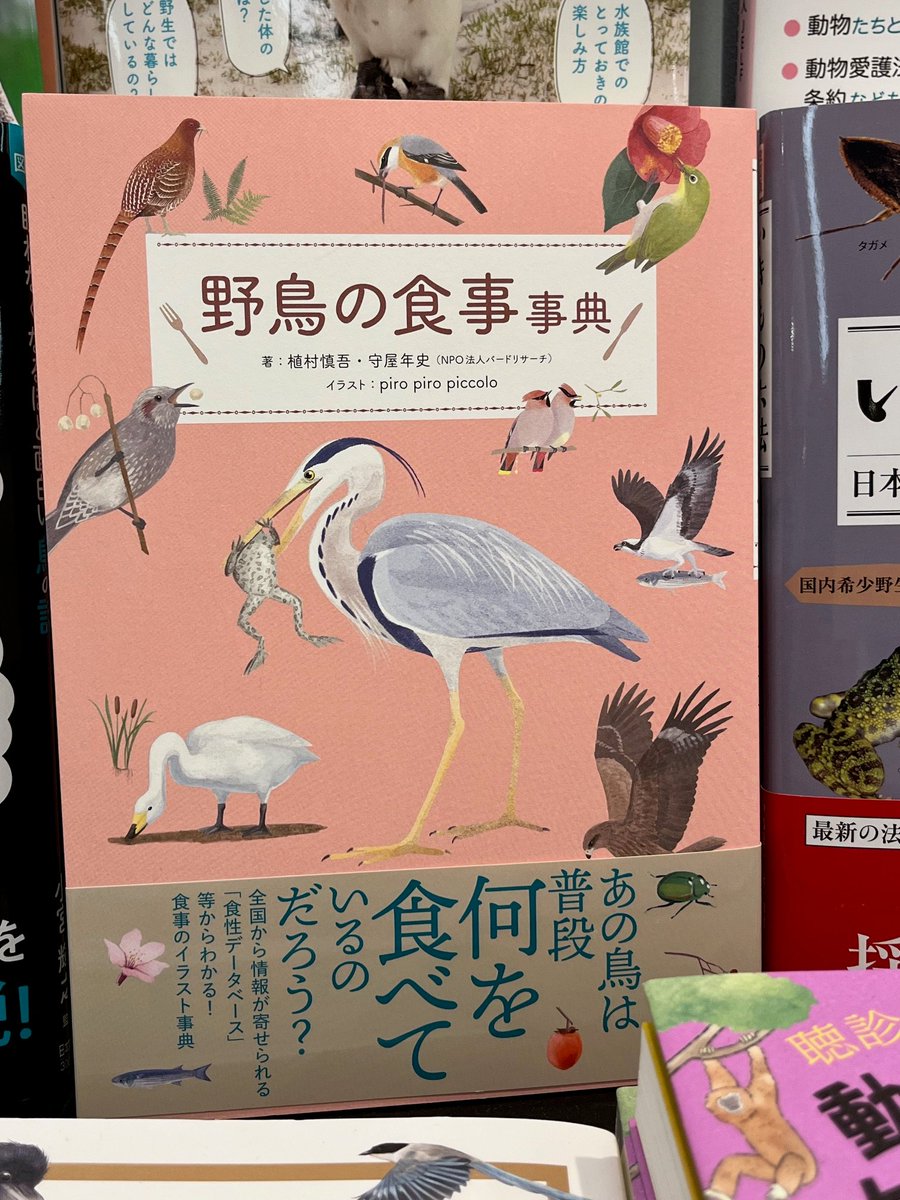 【自然新刊】
かわいい顔してゲテモノ喰い!?
#山と渓谷社『野鳥の食事事典』

鳥界隈ではお馴染み
ＮＰＯ法人バードリサーチ<a href="/BirdResearch/">バードリサーチ</a> 解説
𝚙𝚒𝚛𝚘 𝚙𝚒𝚛𝚘 𝚙𝚒𝚌𝚌𝚘𝚕𝚘<a href="/iirotorii/">𝚙𝚒𝚛𝚘 𝚙𝚒𝚛𝚘 𝚙𝚒𝚌𝚌𝚘𝚕𝚘</a>　イラストによる
類書のない鳥たちのためのグルメブック