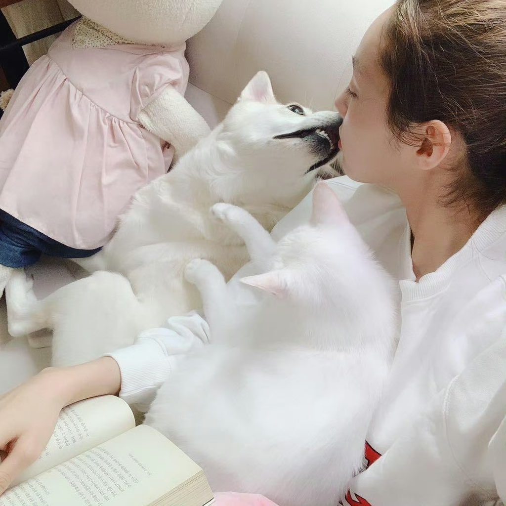 zoeyxuu_'s tweet image. soobin and mata🐰🤍
I also want to kiss soobin🥹
#chaesoobin #蔡秀彬 #채수빈
