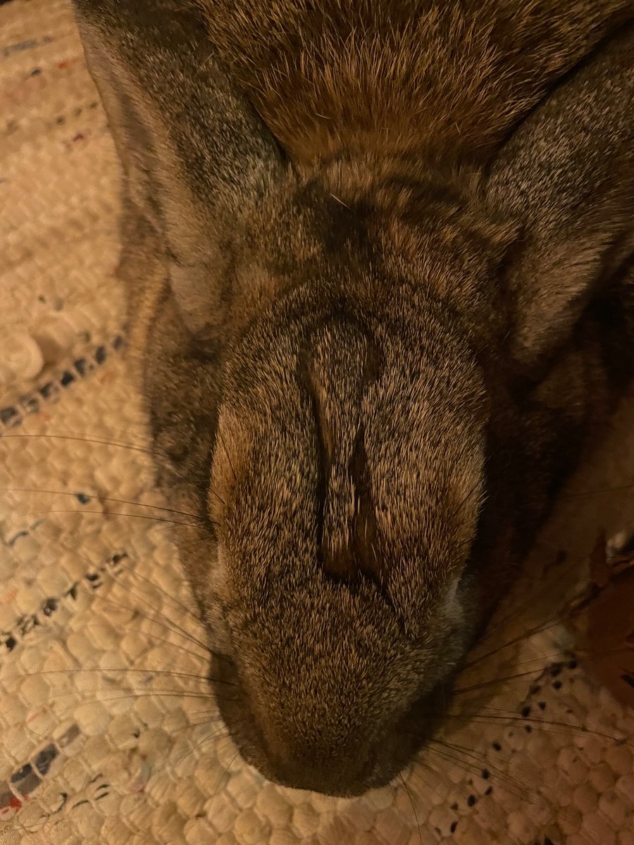 jennie 🎀 Anime Boston A304 🫧 tweet media