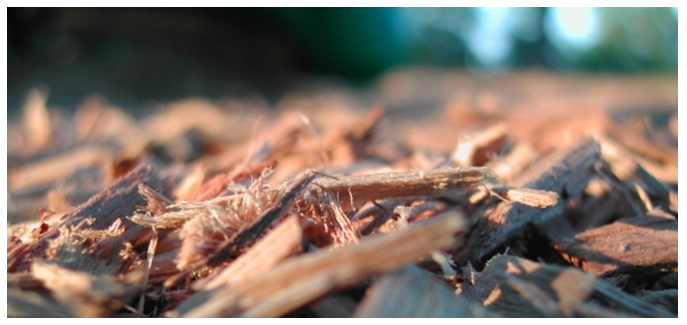 VFPAonline's tweet photo. 🌱 VFPA welcomes the Bioenergy Feedstock Strategy.

Consultation has begun for the development of a National Bioenergy Feedstock Strategy, creating an opportunity to maximise Australia's timber and wood-fibre residue use.

Find the discussion paper here: https://t.co/IJizxhHgru https://t.co/jKncCbsWyN
