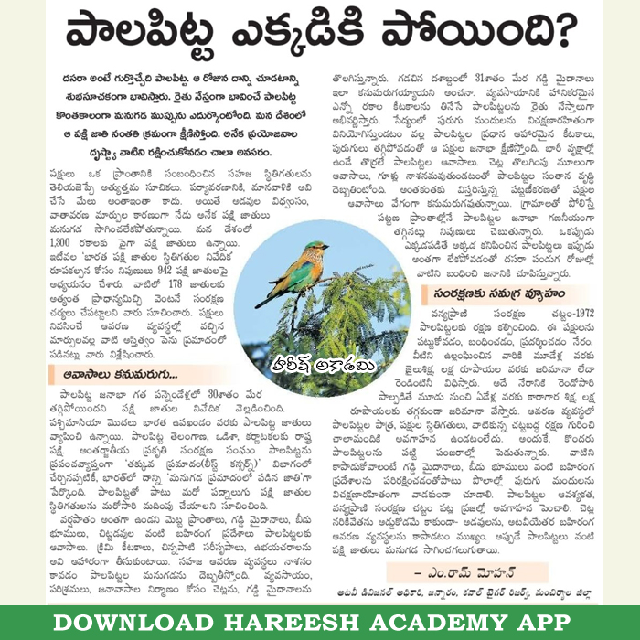 NANDAMSIR's tweet image. Where did the Indian Roller Bird (Pala Pitta) go??
Follow 🚶🚶 the page for daily updates

#Governmentjobs #hareeshacademy #onlinecoaching #dailycurrentaffairs #indianroller #palapitta #dasara #currentaffairstoday #currentgk #currentaffairsdaily #tgpsc #appsc #Group1 #Group2…