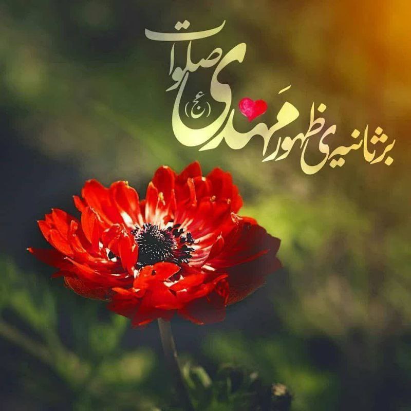 تنهایت گذاشتیم...
 و در هیاهوی دنیا، 
صدایت را گم کردیم..
حالا که به تاوان این غفلت،
 از زمین و زمان بلا می‌بارد،...

و این‌ می‌شود وقتی اولویّت،او نباشد...
اَللّهُمَّ‌طالَ‌الاْنْتِظارُ

فقط انتظارت رو می کشم...

اللّهُمّ عَجّلْ لِوَلیّکَ الفَرج

#سلام_امام_مهربانم
#صبحت_بخیر_آقا