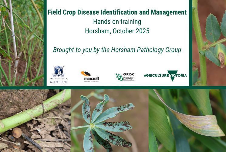 Field Crop Diseases Victoria tweet media