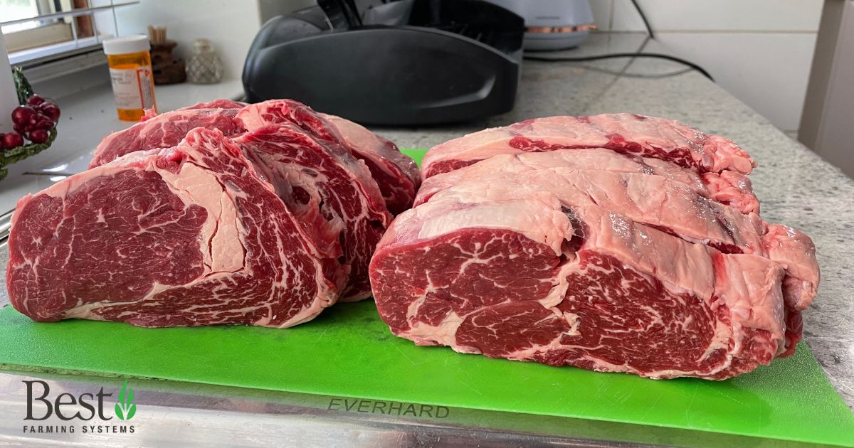 From paddock to plate 🥩

Colin’s 100% grass-fed beef speaks for itself,  just look at that marbling. After 10+ yrs using Best products, plus 100kg natural fert, his cattle thrive only on pasture. Healthy soils = healthy animals.

#BestFarmingSystems #GrassFedBeef #SoilHealth
