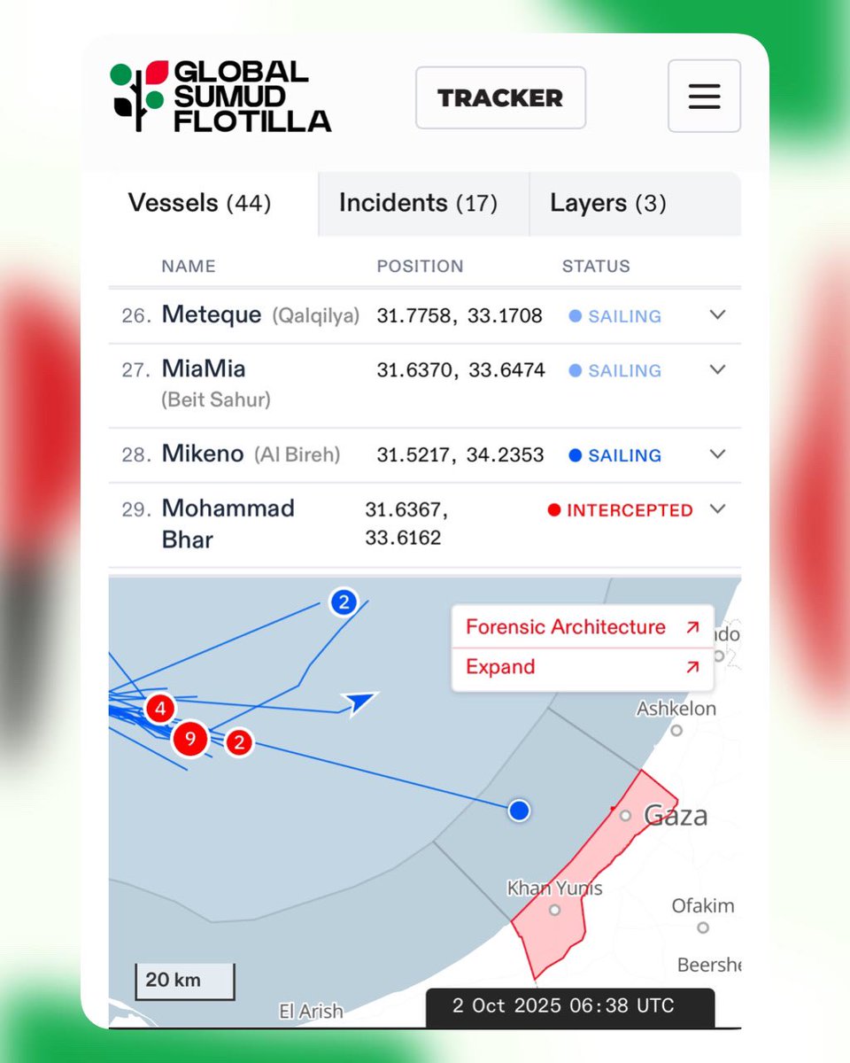 Gabrielle Cathala tweet media