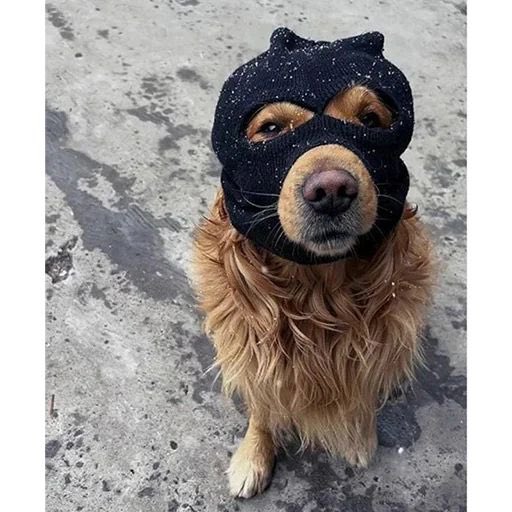Bailey ♠️ tweet media