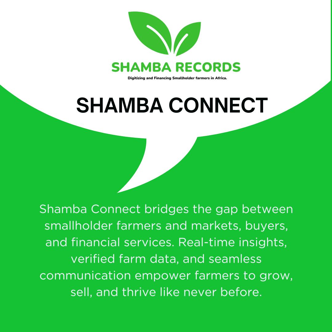 RecordsShamba's tweet image. From seed to market, Shamba Connect strengthens farmers with digital tools that open doors to opportunity. By linking growers to value chains and fair markets, we help farming families prosper.

#FarmersFirst #DigitalFarming #InclusiveGrowth #AgriSolutions
