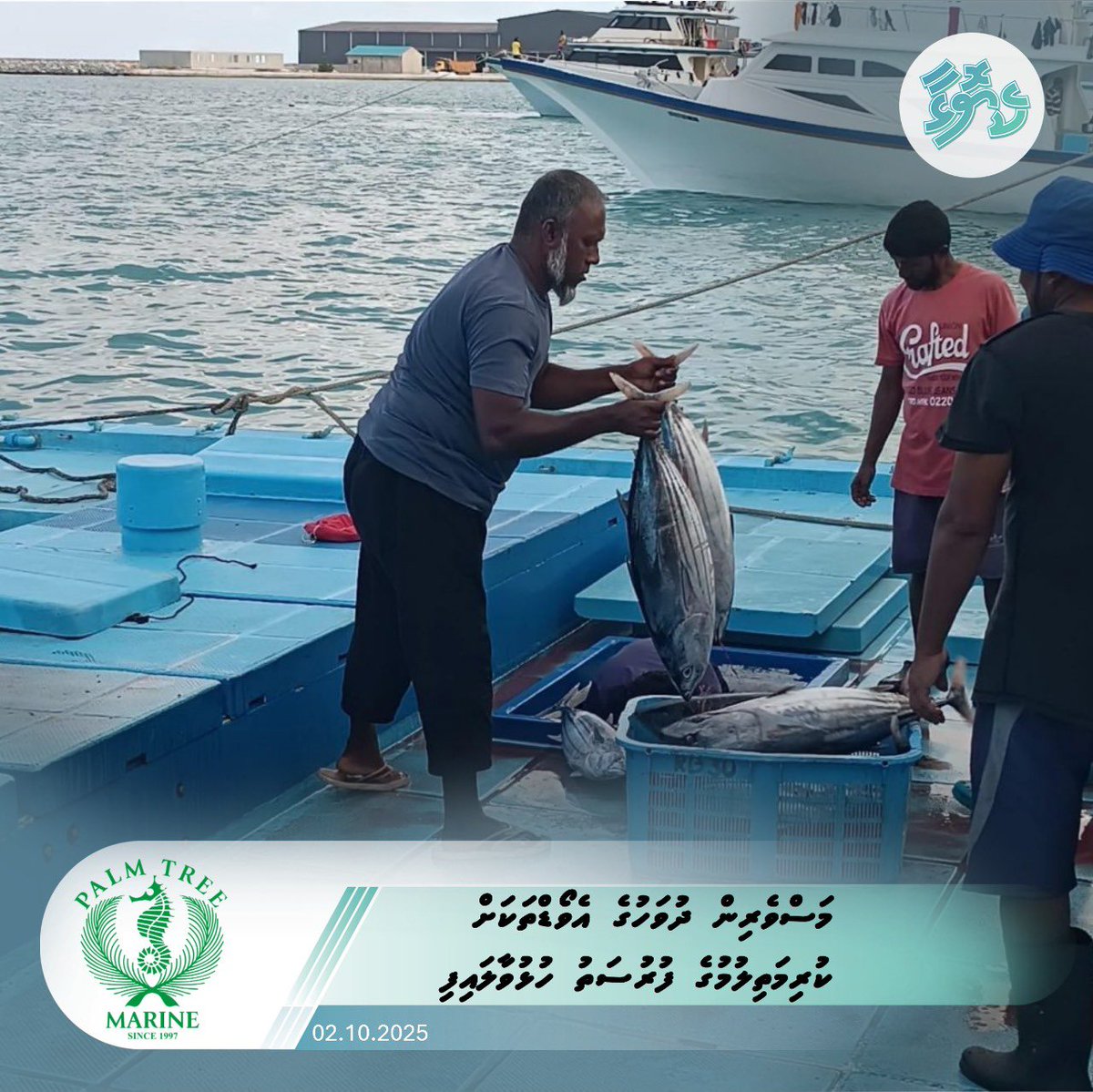 މަސްވެރިން ދުވަހުގެ އެވޯޑްތަކަށް ކުރިމަތިލުމުގެ ފުރުސަތު ހުޅުވާލައިފި
keyolha.com/news/7741/