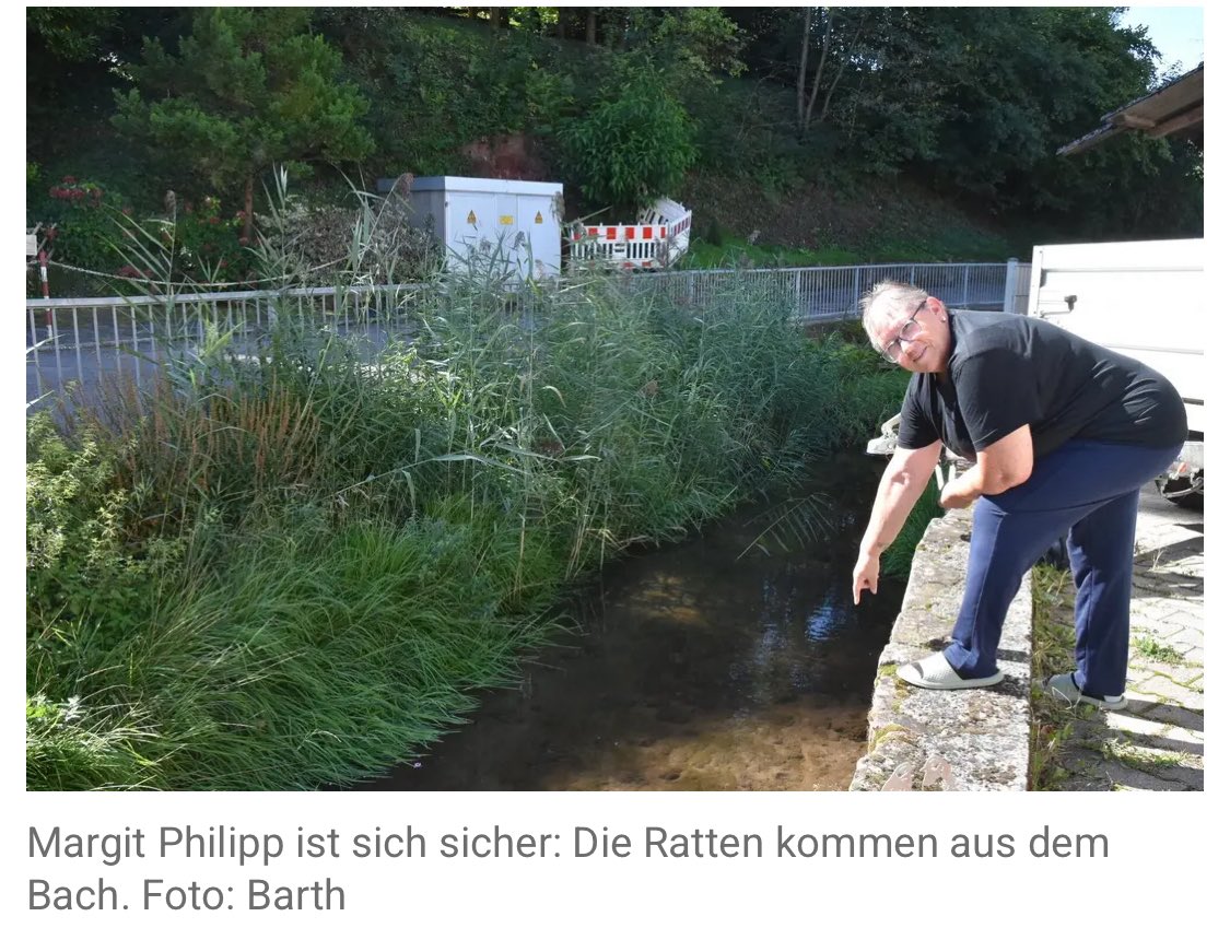 Heute früh erreichte mich diese schockierende Meldung aus Heidelberg:

(Danke <a href="/GeosHD/">Christian Stippich</a>)