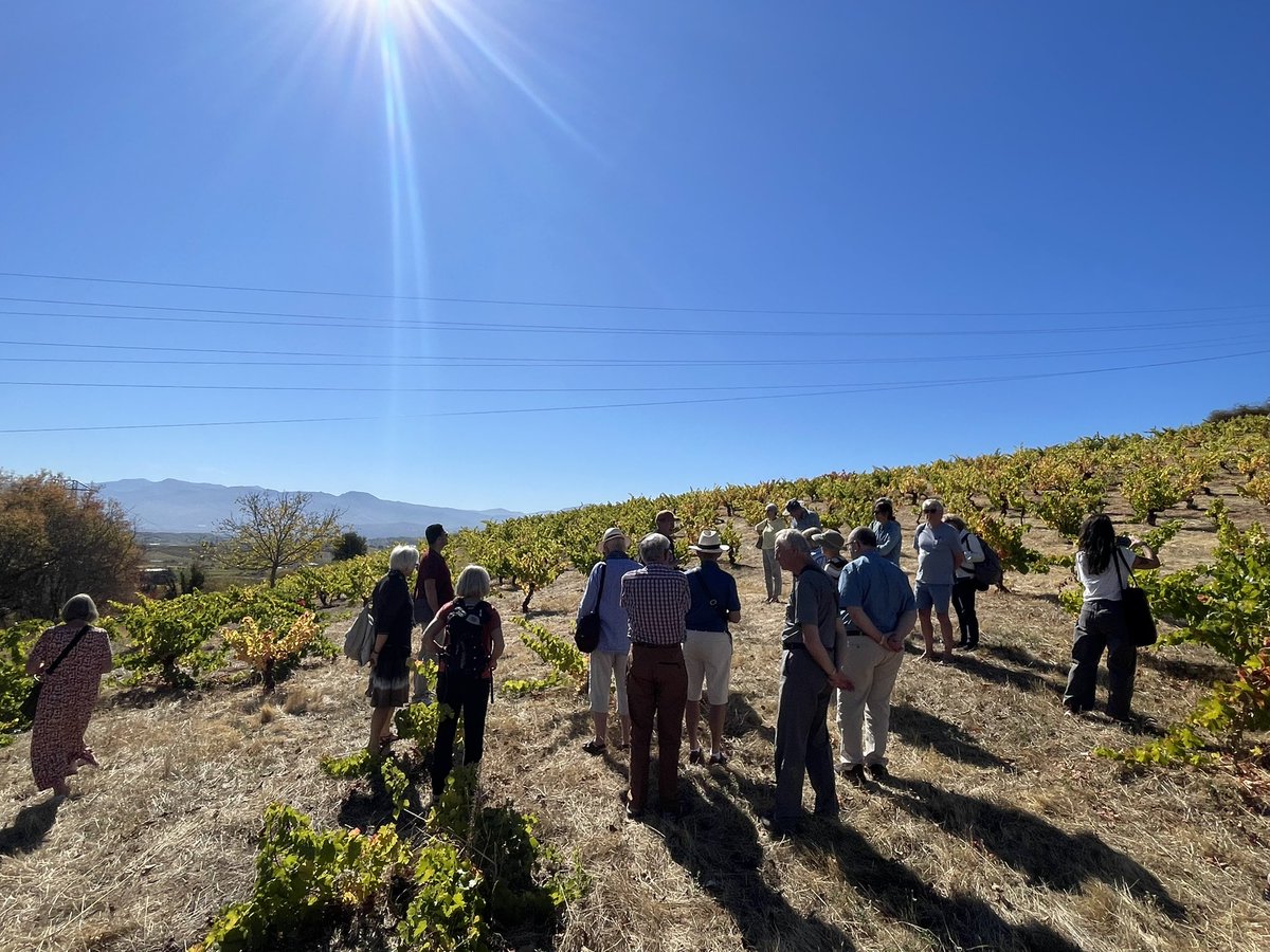 Charles Hastings Wine Club tweet media