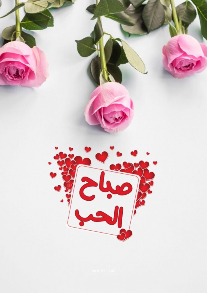 ZHsham6210's tweet photo. صباااح الورد والحب والسعادة والخير للجميع ❤️ https://t.co/gAWKb5wwQP