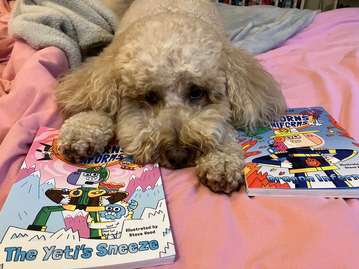 Cathy Johnson 💙💛 tweet media