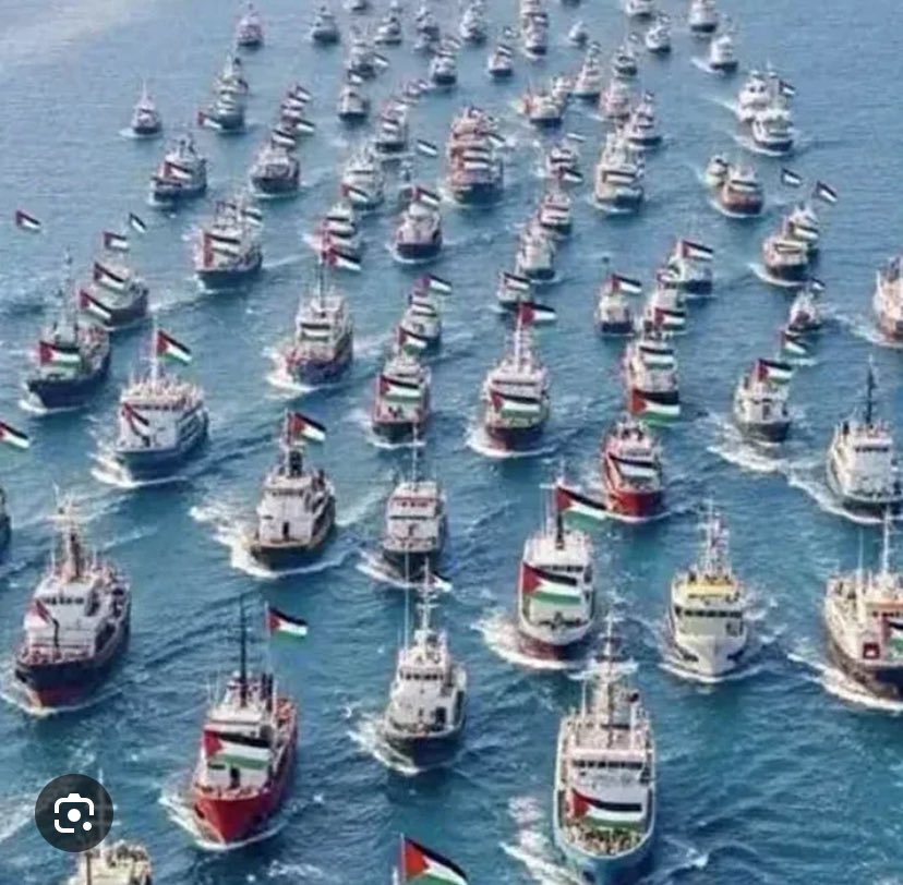bskhtyvllgi's tweet photo. Gazze’ye insani yardım götüren #SumudFilosu’na yönelik İsrail müdahalesini ve yıllardır süren #Gazze işgalini insanlık dışı görüyor ve lanetliyorum. 

#FreePalestine https://t.co/sIsEP1OJJ5