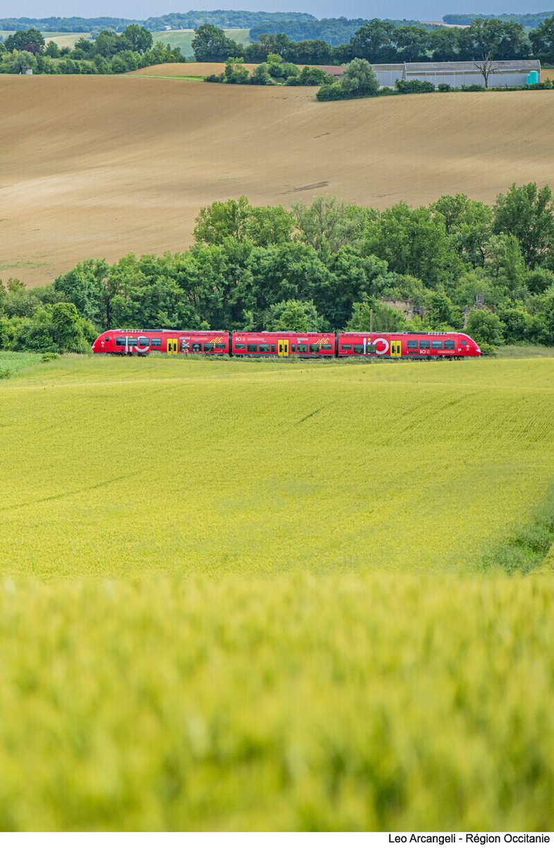 Bon plan du week-end en #Occitanie 🚆✨

Les 4 et 5 octobre, les trajets en train #liO ne coûtent que 1€ !
La #Région s’engage pour une mobilité #écologique, durable et accessible. Une manière responsable d’explorer l'Occitanie et ses paysages☀️

➕ lio-occitanie.fr/actualites/wee…