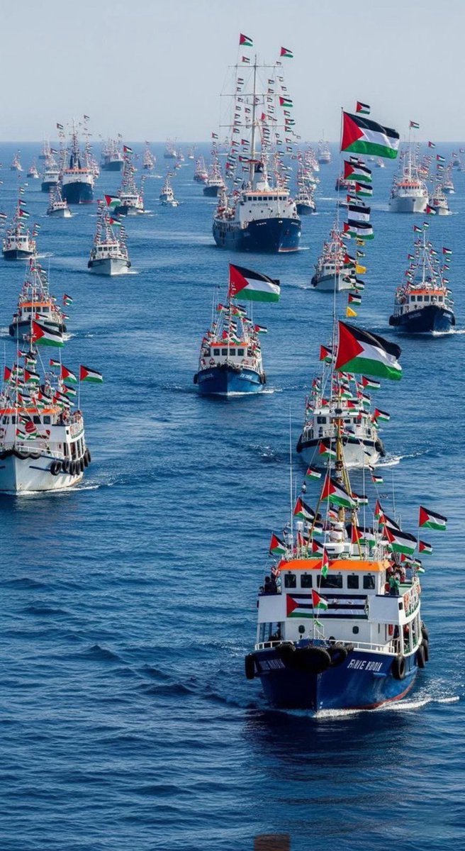 Dualarımız sizlerle. Elbet inananlar zafer kazanacak. Katil İsrail ise kahrolacak. 

 #FreePalestine