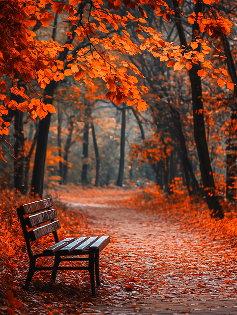 Sirus12597898's tweet image. October Morning🍂🍁