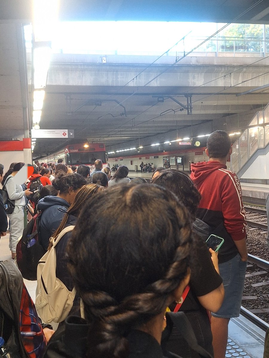 PPteVallecas's tweet photo. 🔴 Una historia real en 4 secuencias: andén repleto, tren abarrotado, empujador, viajeros sin poder subir. FIN de la toma 1.

Así, día tras día los vallecanos sufrimos en las cercanías.

#PedroSánchezCulpable
#ÓscarPuenteCulpable
#PuenteAbandonaPuente https://t.co/lrdtESsegT
