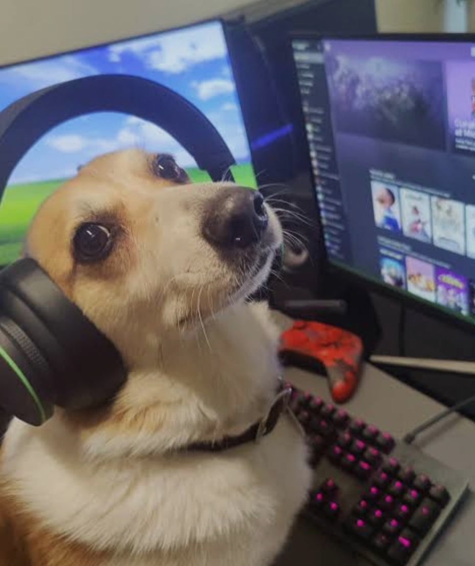 Beam Gamers tweet media