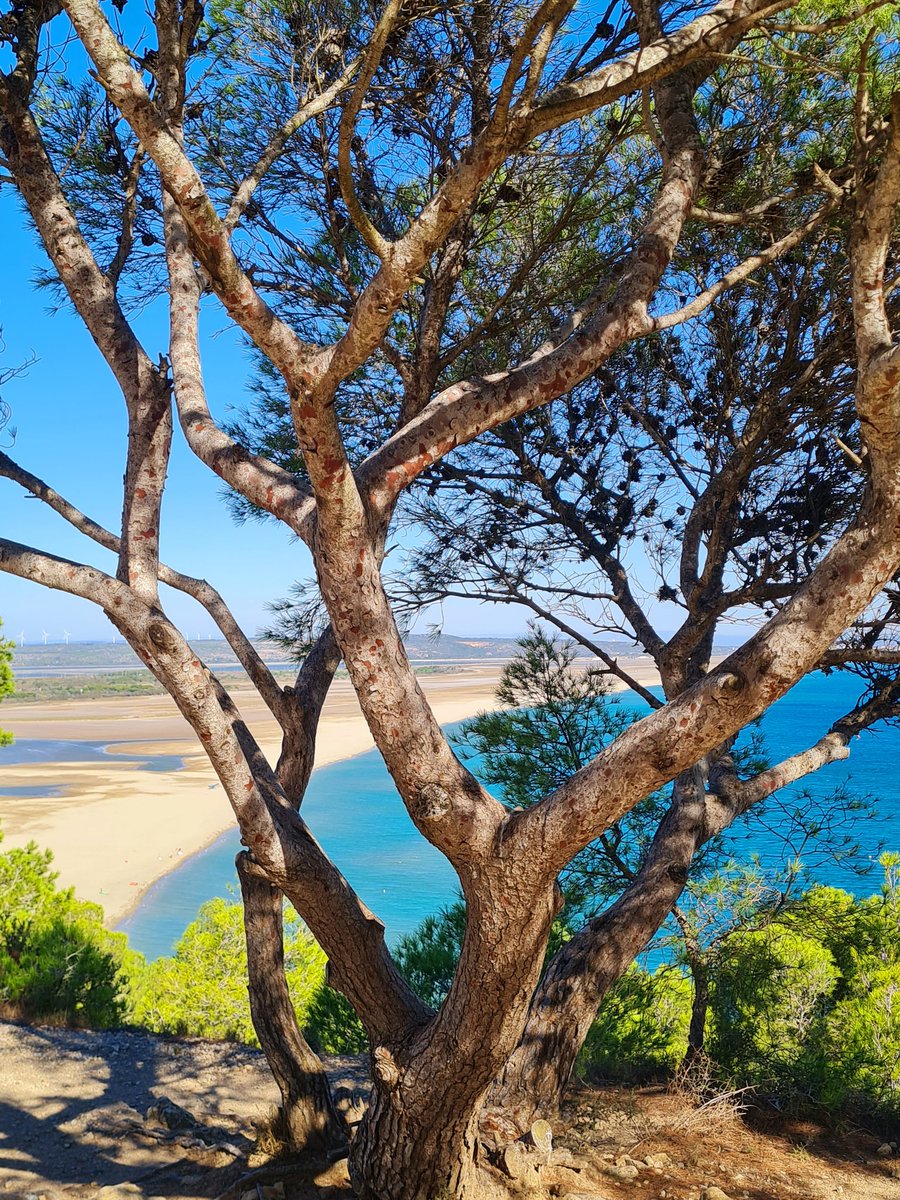 pirate31000's tweet photo. La falaise de La Franqui (Leucate) #Aude #occitanie https://t.co/3zESyO7ACX