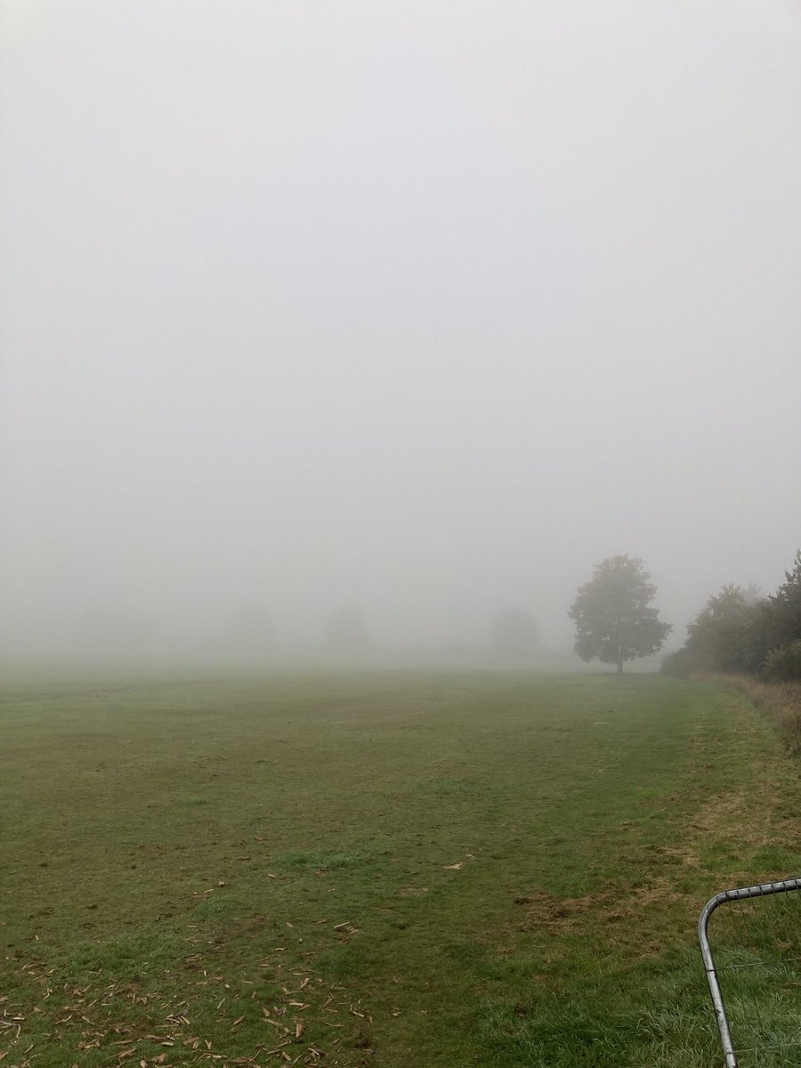 Доброе туманное утро