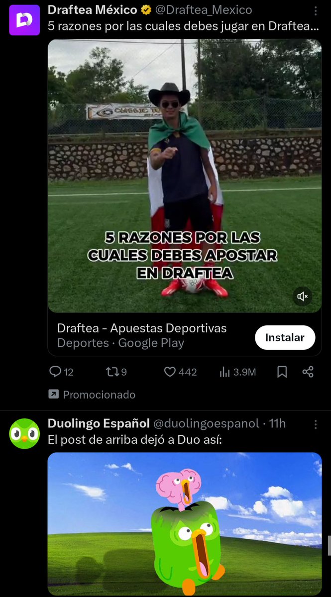 WorkSergio82843's tweet photo. @duolingoespanol ._. https://t.co/Y7u1Mrpe0w