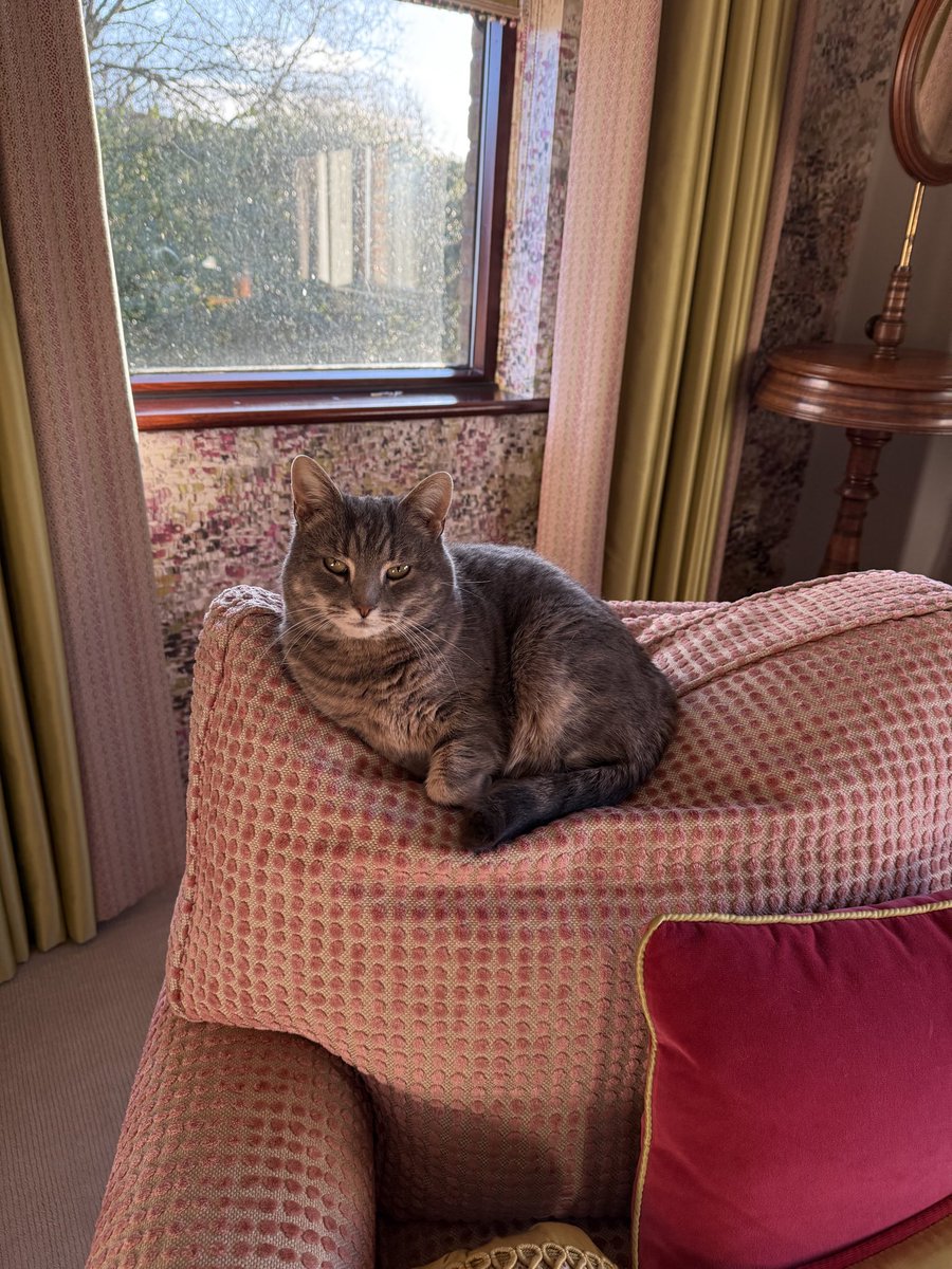 Gerard McDermott KC tweet media