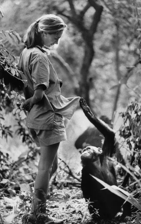 L3naRain's tweet image. Remembering Dr. Jane Goodall
Scientist Humanitarian 1934-2025