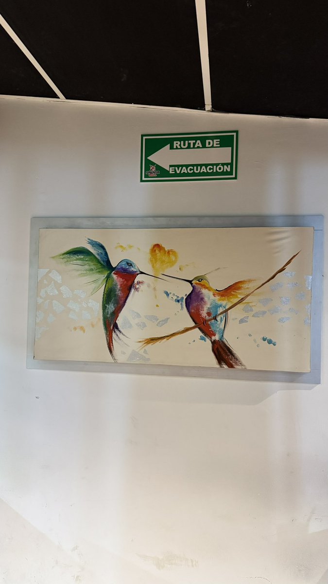 Le estaba contando a alguien lo especial que es ver colibrís… y al llegar a este lugar, justo me topo con esto. Benditas sincronicidades.