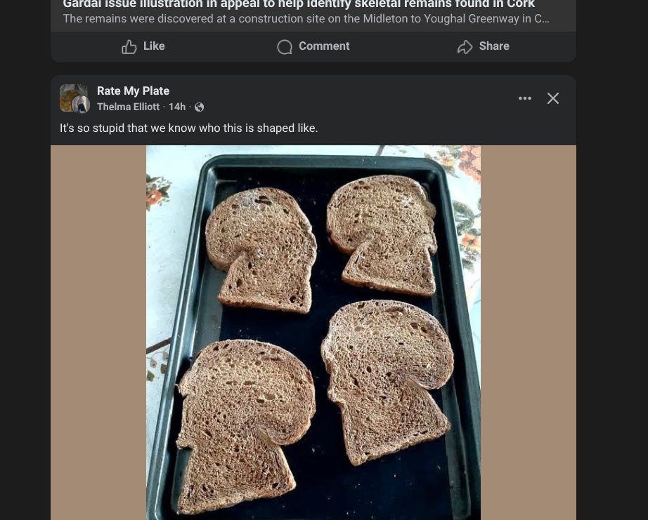 So I saw this on my timeline on Facebook of an artists rendition of a woman after they found skeletal remains

Then the next thing I saw underneath was toast that looks exactly like her side profile