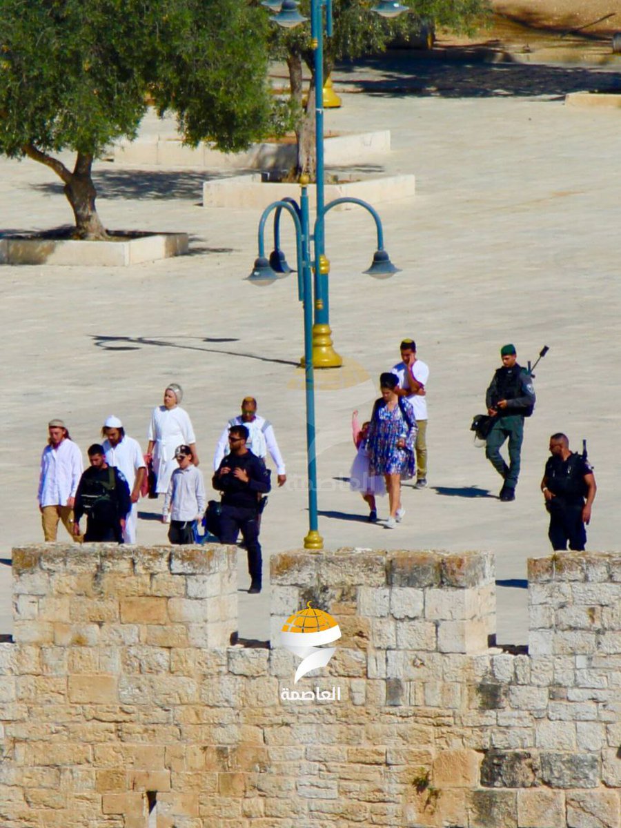 qudsn's tweet photo. مئات المستوطنين يقتحمون المسجد الأقصى المبارك تحت حماية شرطة الاحتلال في ما يسمى "عيد الغفران". https://t.co/uytSJqvfv5