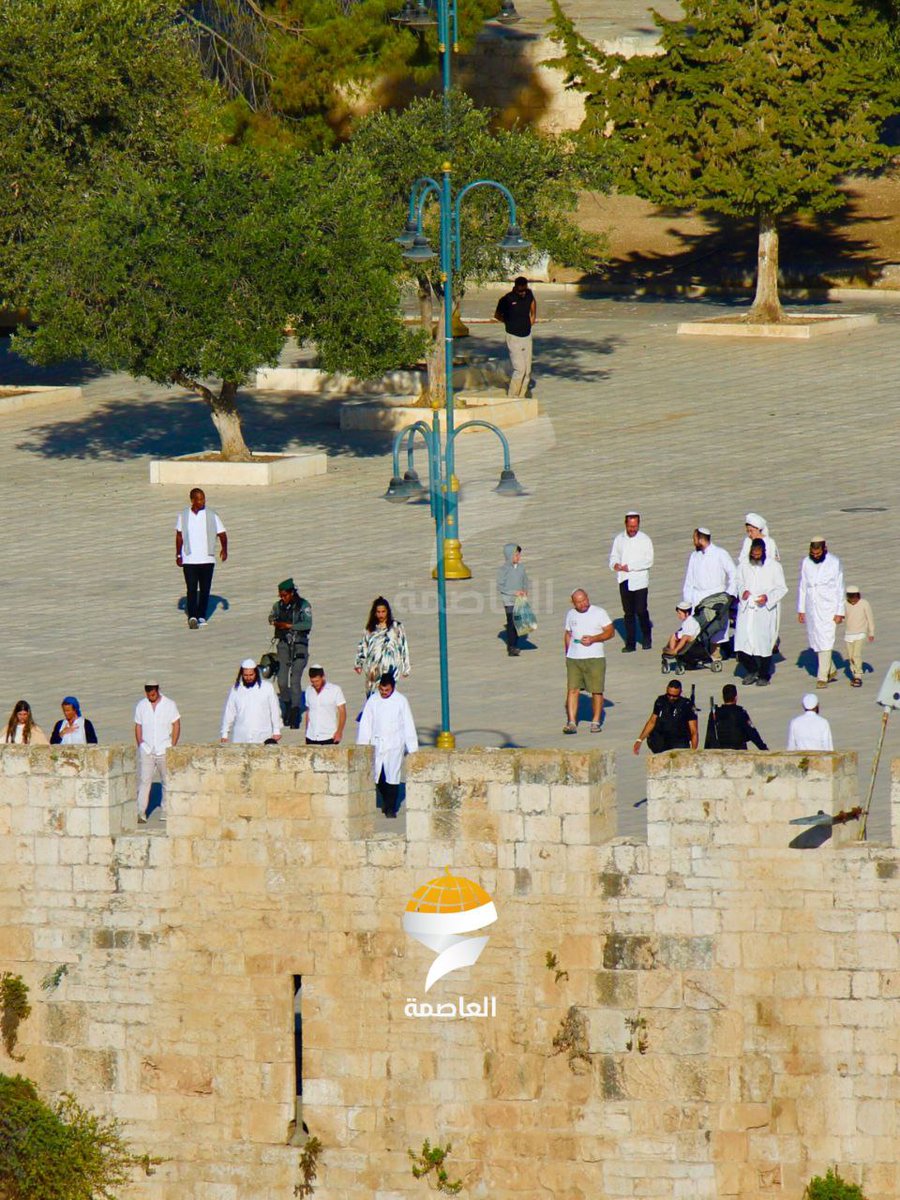 qudsn's tweet photo. مئات المستوطنين يقتحمون المسجد الأقصى المبارك تحت حماية شرطة الاحتلال في ما يسمى "عيد الغفران". https://t.co/uytSJqvfv5