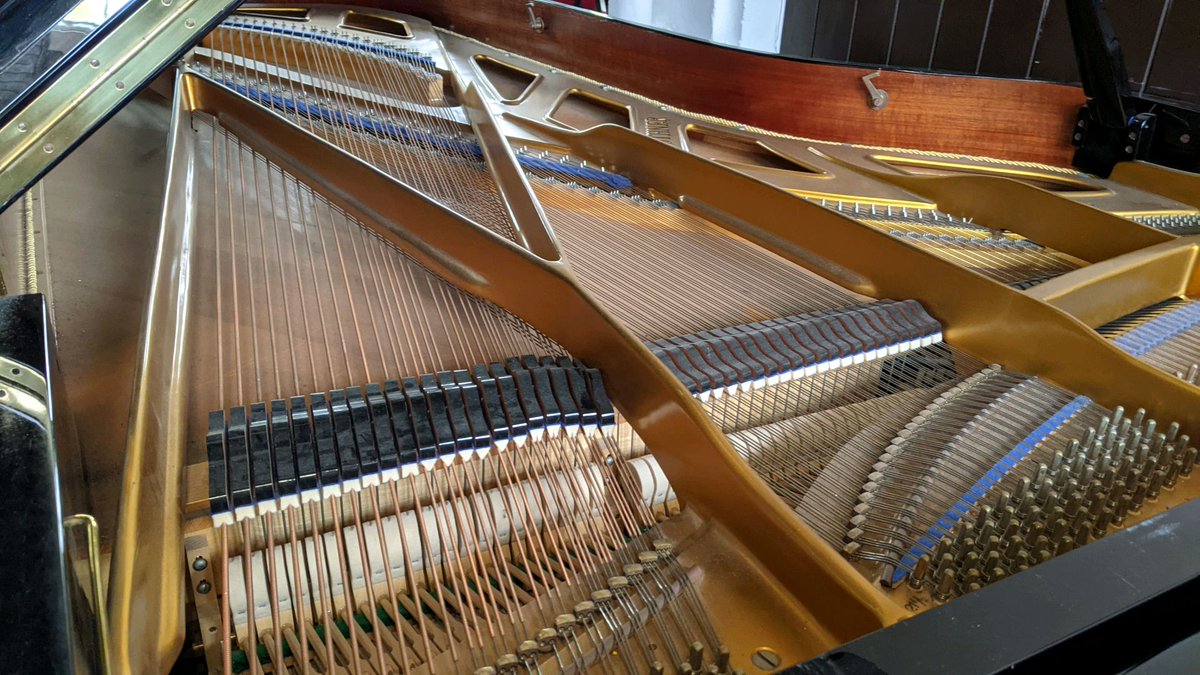 pianotunermjr's tweet image. Tuning and Servicing the Bluthner Grand Piano dating from 1989 at the Wolverhampton Grammar School 

matthewjamesrichards.co.uk

#pianotuners #bluthner #grandpiano #music #wolverhampton #piano #pianist #pianotuner #pianotuning