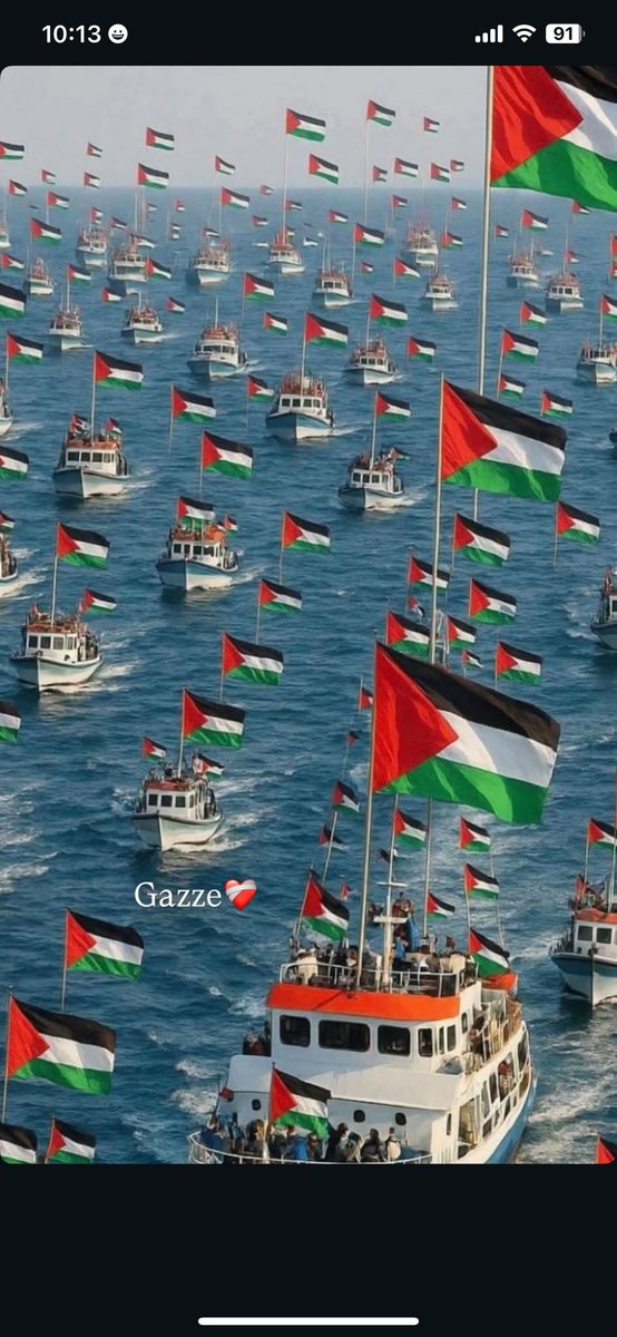 Oysa ne güzel,ne basitti yaşamak
Nazim'ın dedigi gibi,
Alt tarafı bir çiçek koklayıp, bir hayvan sahiplenip, birkaç insan tanıyıp, sevip gidecektik bu dünyadan.
Nasıl kötü bir zamana denk geldi ömrümüz... ❤️‍🩹 #Gazze #SumudFilosu