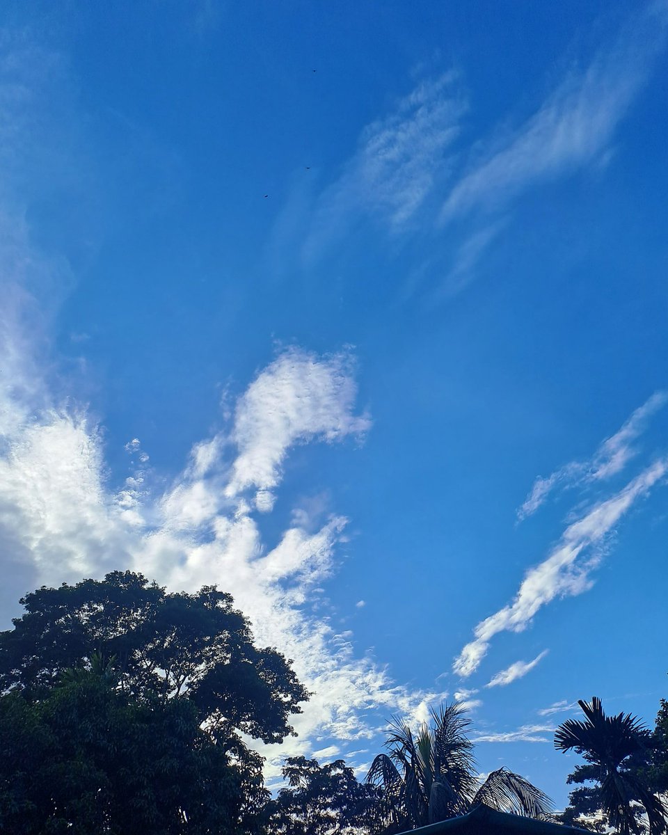 thyme_simran's tweet image. "মানুষের মন হচ্ছে অক্টোবরের আকাশ। এই মেঘ শূন্য,এই আবার ঝমঝমে বৃষ্টি"