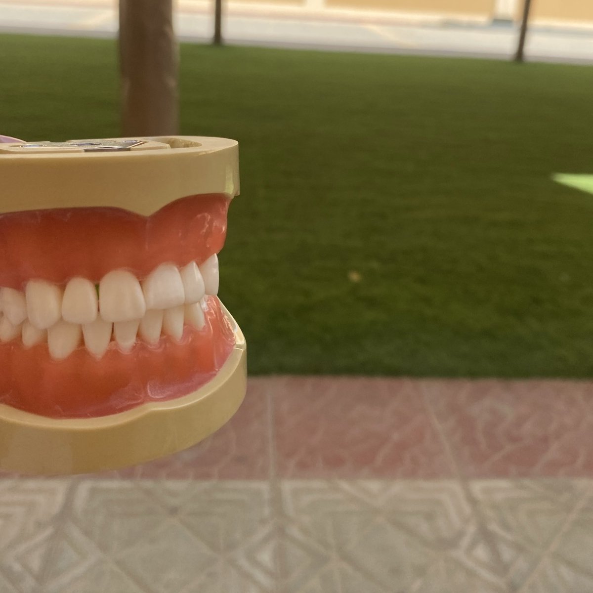 التطوع في المدارس تجربه جميله 🦷💫