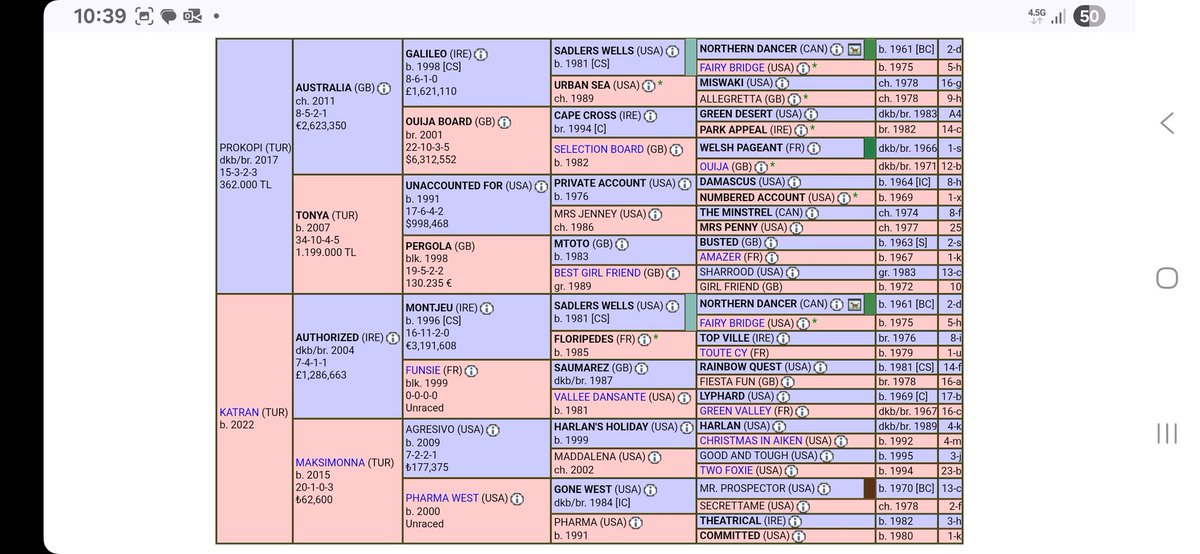Eski yavrularımızdan KATRAN'da 2026 aşım sezonunda  PROKOPİ'den aşım görmek üzere ekürimize döndü.

Hayallerindeki pedigrilerin peşinde koşan, emek veren tüm yetiştirici ve at sahiplerinin hedeflerine ulaşması dileğiyle...
