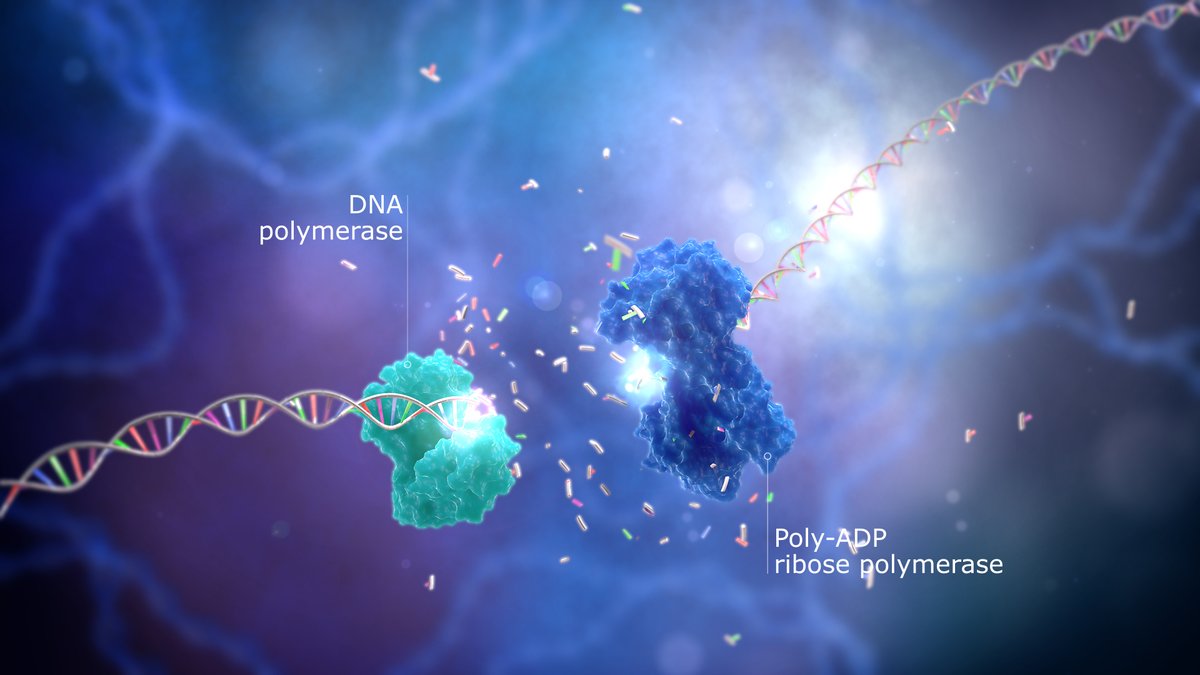 Stuart Pond Design tweet media