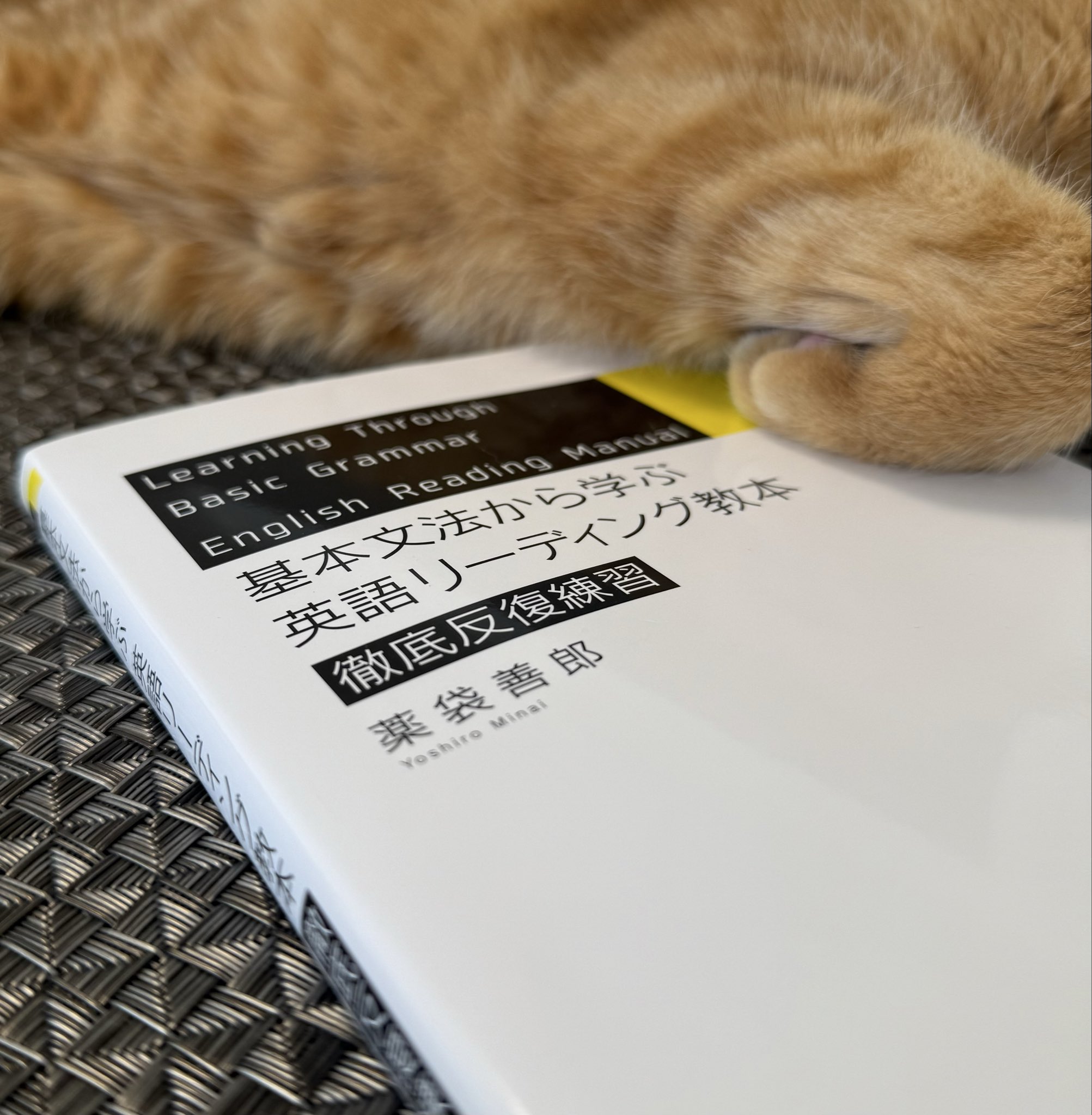 tan毎回プロ必読ページ Keybooks | ❌sold out❌ 📚 Fight Scene High Speed