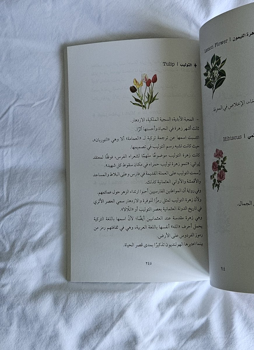 Utayuuna's tweet photo. كتاب يضم أبعادًا أخرى للغة والمعنى، ينتظر اطلاعكم وقراءتكم
للطلب عبر البايو 🫶
#معرض_الرياض_الدولي_للكتاب_2025 
#معرض_الرياض_الدولي_للكتاب   #توصيات_كتب#معرض_الكتاب https://t.co/hYFaonS4pV