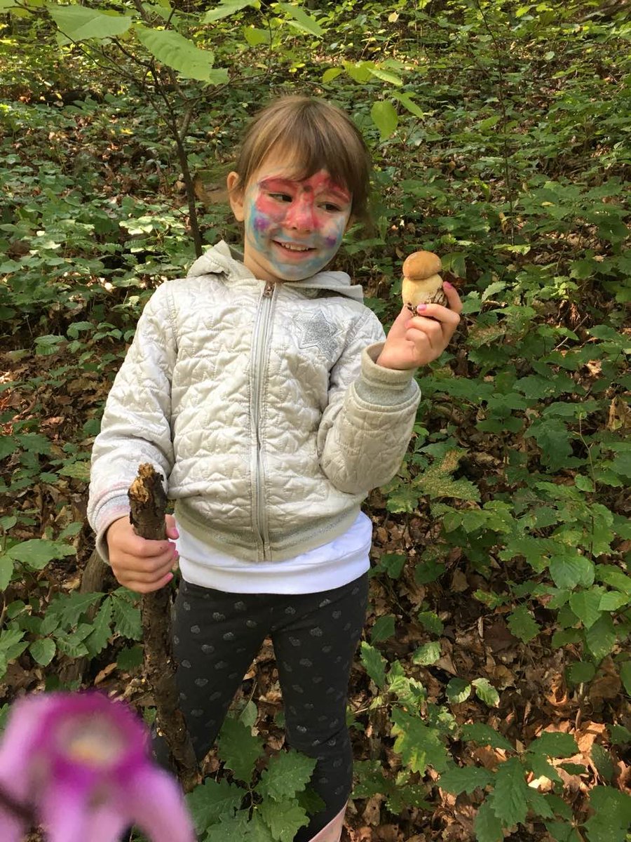 BSuhic's tweet image. Lijep dan svima 🥰

Uklapamo se u jesensku šumu i eto ulov.. 🍄‍🟫🎨
I rastemo ko vrganji, moj broj je već 😂 ❤️ 
#funghi #woods #autumn