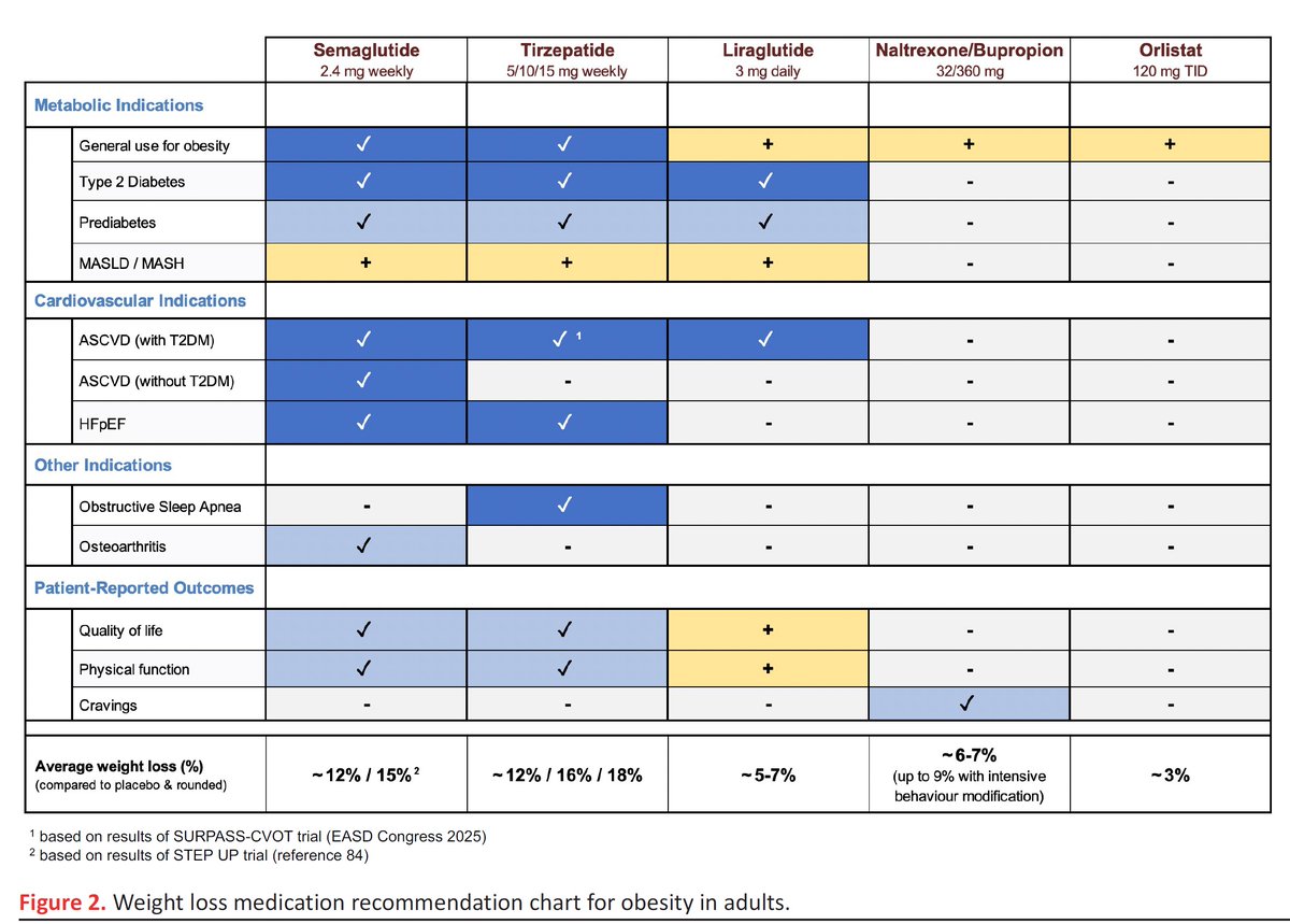 samehshaheen's tweet photo. ONE OF THE LATEST PUBLICATIONS ON THE MANAGEMENT OF OBESITY IN GENERAL AND SPECIFICALLY AMONG CARDIAC PATIENTS SUCH AS THOSE WITH OBESITY RELATED HFPEF. CARDIOLOGISTS SOON WILL BE HEAVILY INVOLVED IN THE USE OF SEMAGLUTIDE (OZEMPIC) AND TERZEPATIDE (MOUNJARO). https://t.co/Cukhf2t4Hx