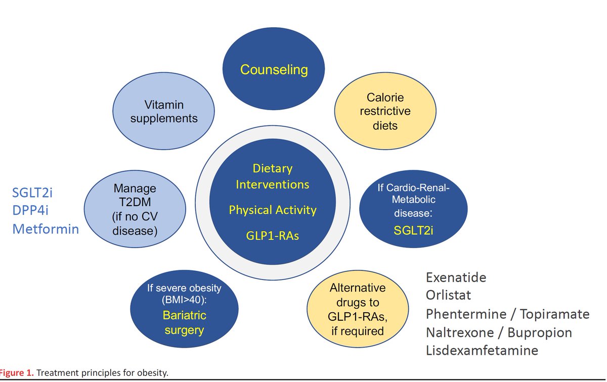 samehshaheen's tweet photo. ONE OF THE LATEST PUBLICATIONS ON THE MANAGEMENT OF OBESITY IN GENERAL AND SPECIFICALLY AMONG CARDIAC PATIENTS SUCH AS THOSE WITH OBESITY RELATED HFPEF. CARDIOLOGISTS SOON WILL BE HEAVILY INVOLVED IN THE USE OF SEMAGLUTIDE (OZEMPIC) AND TERZEPATIDE (MOUNJARO). https://t.co/Cukhf2t4Hx